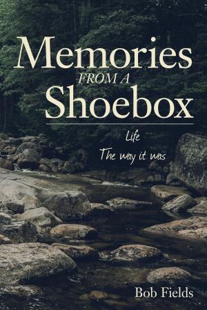 Book cover of Memories from a Shoebox