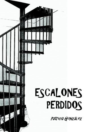 Cover of the book Escalones Perdidos by Rubén Montero Torres