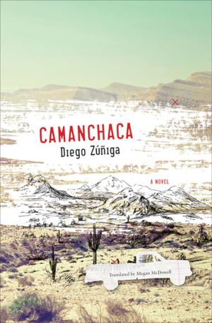 Cover of the book Camanchaca by Barbara Browning
