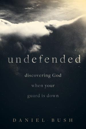 Cover of the book Undefended by Aubry G. Smith