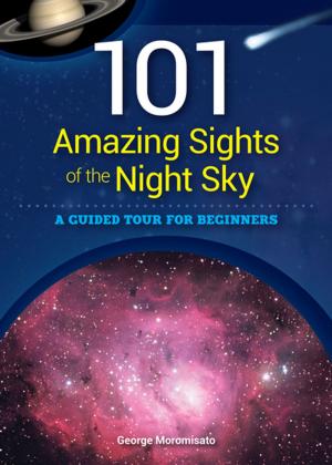 Cover of the book 101 Amazing Sights of the Night Sky by Nick Addey