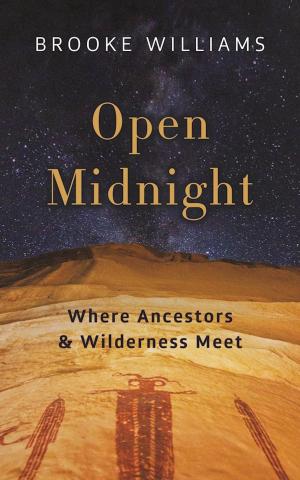 Book cover of Open Midnight