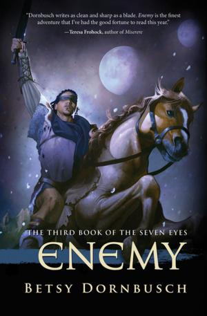 Cover of the book Enemy by Eden Collinsworth