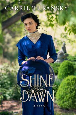 Cover of the book Shine Like the Dawn by Robin Jones Gunn
