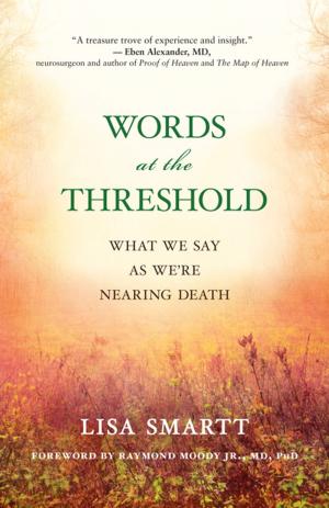 Cover of the book Words at the Threshold by Joanna Macy; Chris Johnstone