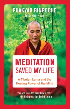 Book cover of Meditation Saved My Life