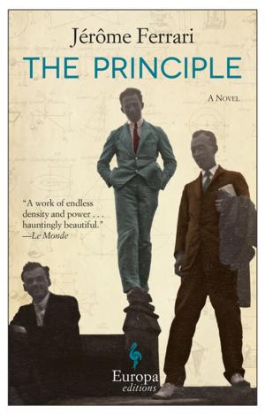 Cover of the book The Principle by Europa Editions