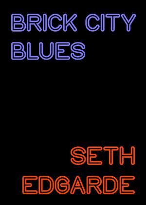 Book cover of Brick City Blues