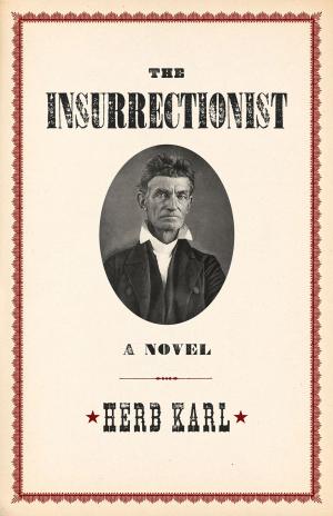 Cover of the book Insurrectionist by Wendy M. L. Libby