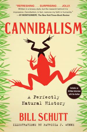 Cover of the book Cannibalism by Hallgrímur Helgason