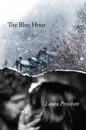 Cover of the book The Blue Hour by Wendell Berry