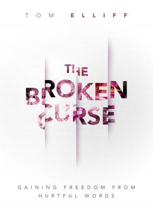 Cover of the book The Broken Curse by Jill Briscoe