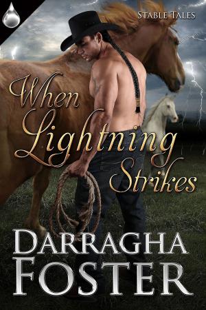 Cover of the book When Lightning Strikes by Holland Rae