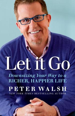 Cover of the book Let It Go by N. E. Nordstrom