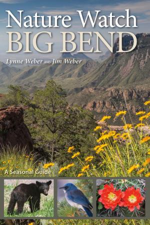 Cover of the book Nature Watch Big Bend by Frederick Fichman