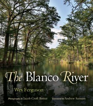 Cover of the book The Blanco River by Ron Rozelle