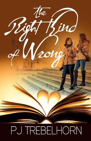Cover of the book The Right Kind of Wrong by Ali Vali