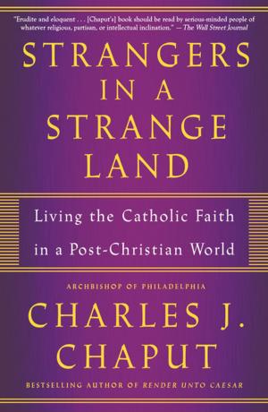Book cover of Strangers in a Strange Land