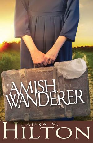 Book cover of The Amish Wanderer