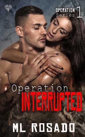 Cover of the book Operation Interrupted by Willow Summers, K.F. Breene