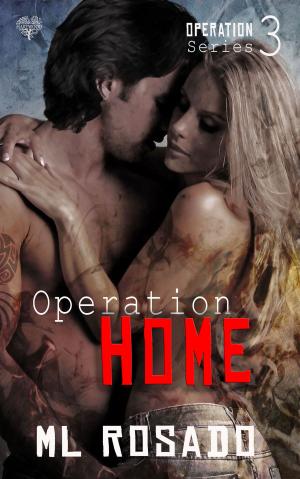 Cover of the book Operation Home by Becca Jameson