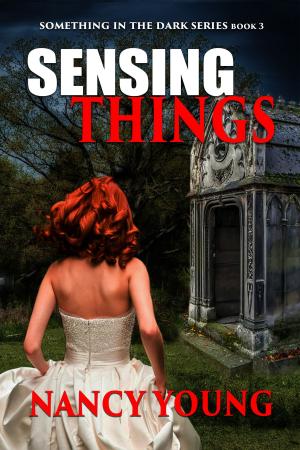 Cover of the book Sensing Things by Erik Daniel Shein, Melissa Davis