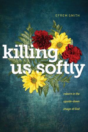 Cover of the book Killing Us Softly by Jerry Bridges
