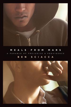 Cover of the book Meals from Mars by Cynthia Heald