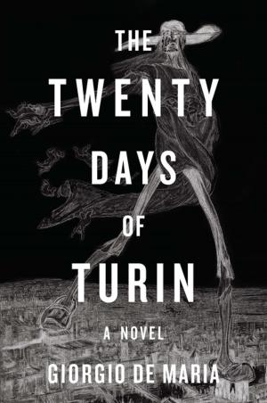 bigCover of the book The Twenty Days of Turin: A Novel by 