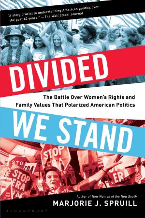 Cover of the book Divided We Stand by Johan Lund Heinsen