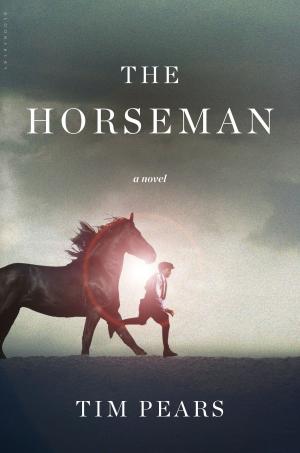 Cover of the book The Horseman by Terry Pratchett