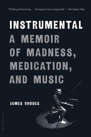 bigCover of the book Instrumental by 