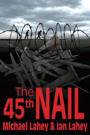 Cover of the book The 45th Nail by Michael Kroft
