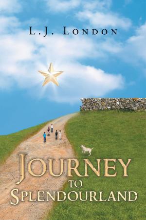 Cover of the book Journey to Splendourland by Lawrence J R Czaja