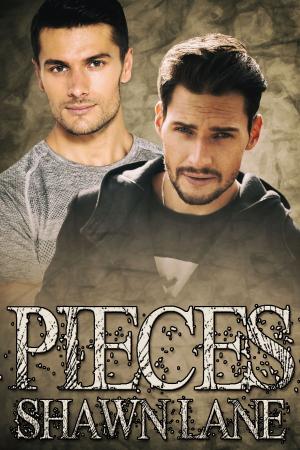 Cover of the book Pieces by J.M. Snyder