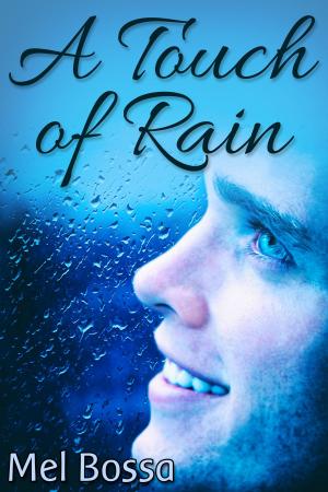 Cover of the book A Touch of Rain by Tricia Owens