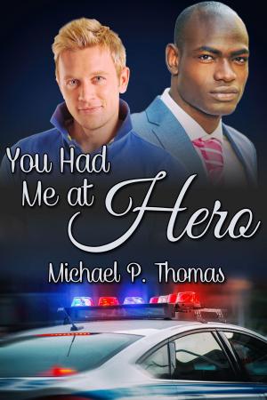 Cover of the book You Had Me at Hero by Eva Hore
