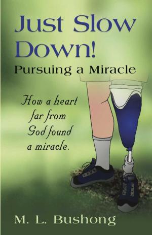 Cover of the book Just Slow Down! Pursuing a Miracle by Rebecca Chamaa