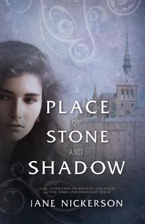 Cover of A Place of Stone and Shadow