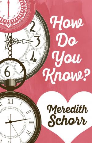 Cover of the book HOW DO YOU KNOW? by Meredith Schorr
