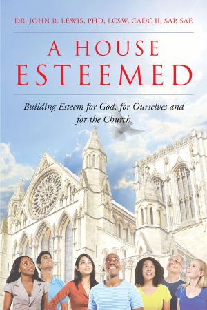 Book cover of A House Esteemed: Building Esteem for God, for Ourselves and for the Church