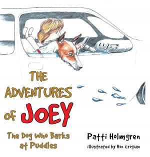 bigCover of the book The Adventures of Joey, The Dog Who Barks at Puddles by 
