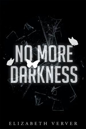 Cover of the book No More Darkness by D. D. Edwards