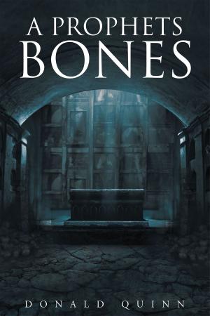 Cover of the book A Prophets Bones by Steve Ebner