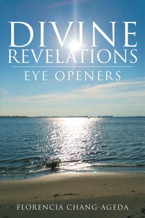 Cover of the book Divine Revelations-Eye Openers by Apostle Carter Videau