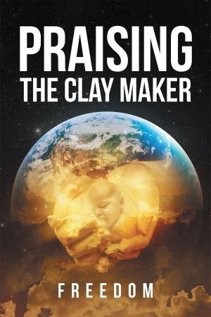 Cover of the book Praising The Clay Maker by Marianna Saran