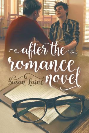 Cover of the book After the Romance Novel by Amy Lane
