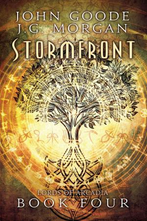 Cover of the book Stormfront by John Simpson