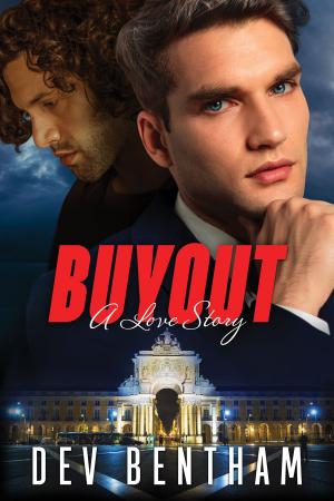 Cover of the book Buyout - A Love Story by Meg Harding