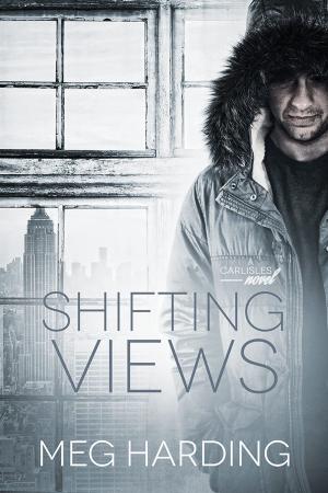 Cover of the book Shifting Views by Leo d'Entremont